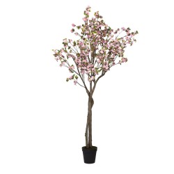 Cerisier Superba 280 cm rose